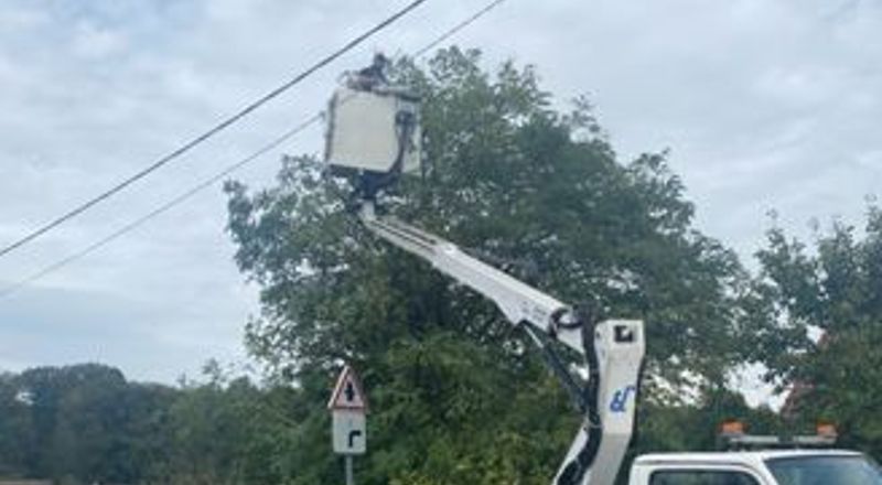 Degagement lignes à Champforgeuil