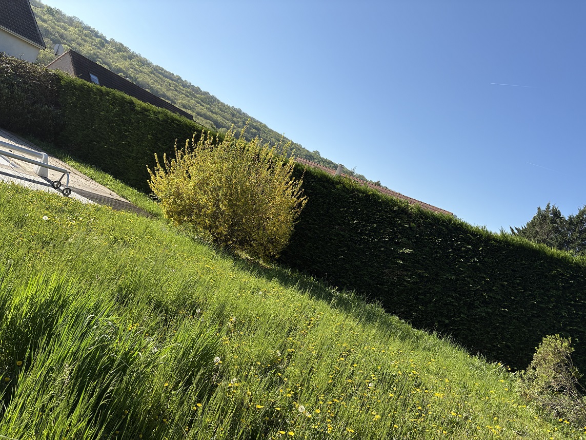 Intretien haie  chalon sur saone 71100