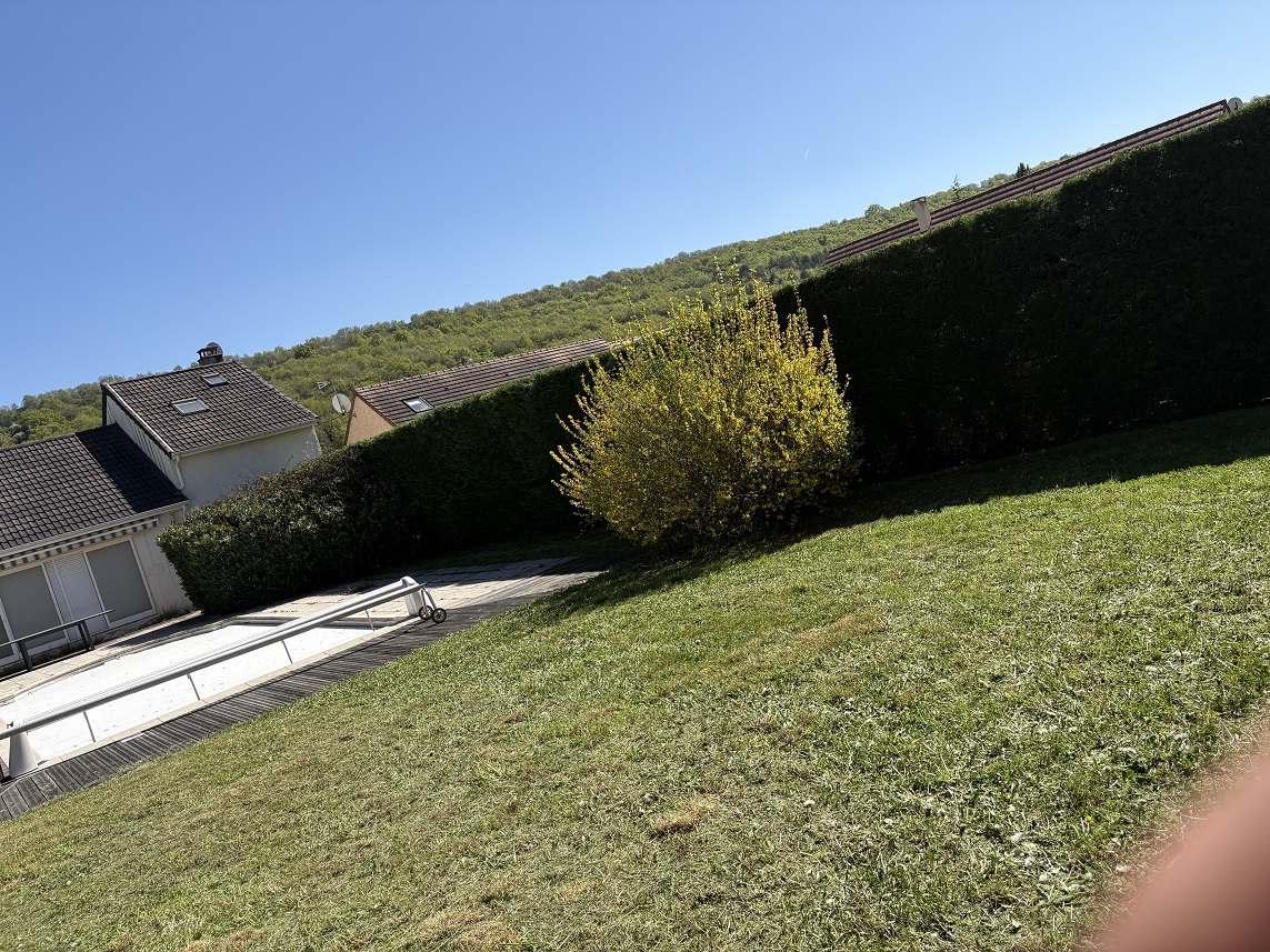 Intretien haies  chalon sur saone 71100