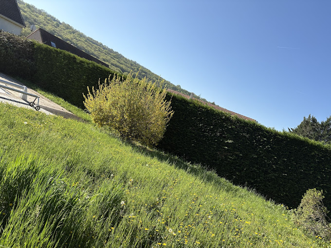 Taille de haie auxey duresses 21190