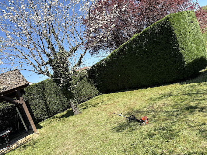 Taille de haie beaune 21200