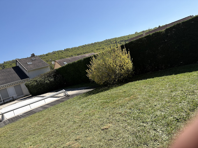Taille de haie fontaines 71150